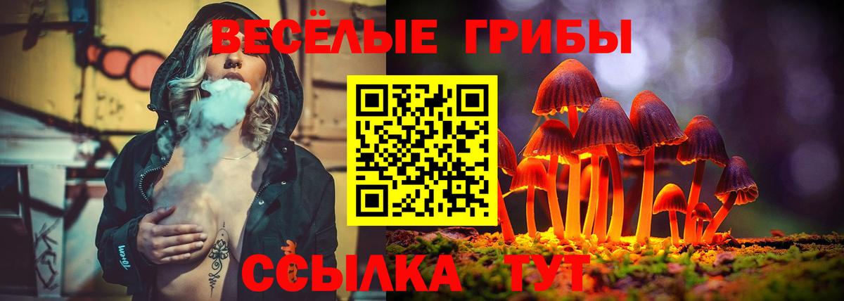 Галлюциногенные грибы ЛСД Гагарин