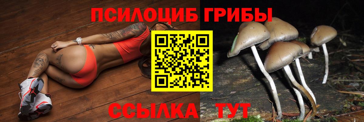 Псилоцибиновые грибы мухоморы  Вход с VPN  Галлюциногенные грибы Psilocybine cubensis  купить закладку  Гагарин 